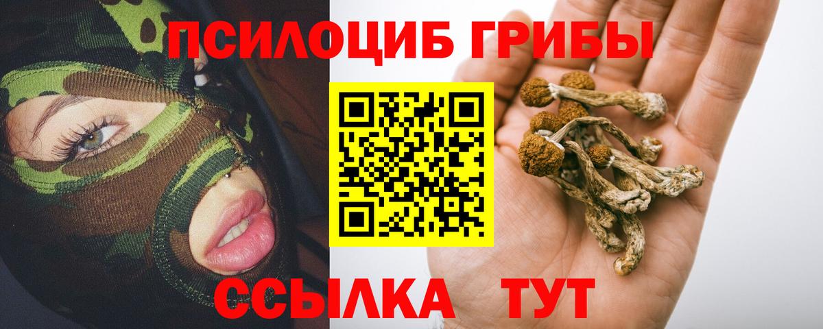 Псилоцибиновые грибы Magic Shrooms  Галлюциногенные грибы Cubensis  Вход с VPN  Саранск 